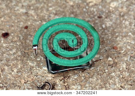 Burning Dark Green Spiral Mosquito Repellent On Metal Stand Left On Concrete Steps To Repel Mosquito