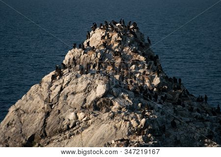 Lake Baikal, Oltrek Island. Irkutsk Region, Russia.