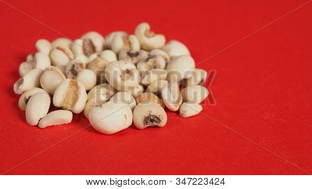 Job's Tears, Also Known As Adlay And Coix On Red Background. Popular In Asian Cultures As A Food Sou