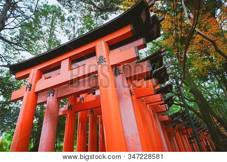 Fushimi Inari Taisha Torii Gates In Fushimi-ku, Kyoto, Japan.