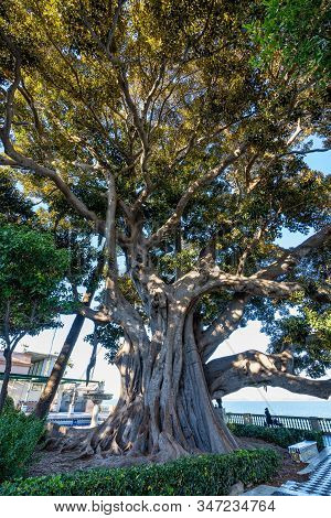 Alameda De Apodaca, A Public Park And An Example Of The Eclectic Style Of Regionalism In Cadiz, With