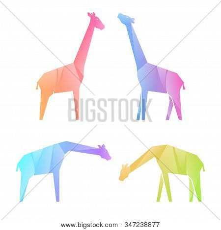 Set Of Multi-colored Gradient Giraffes In Different Poses, Illustration
