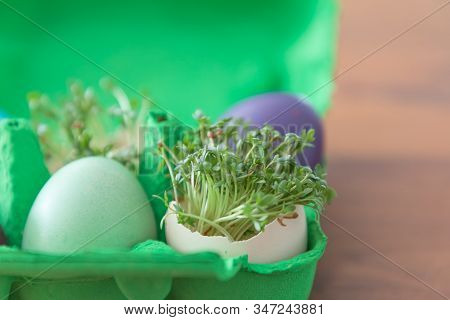 Decorative Handmade Easter Egg Present Box With Eggs And Cress. Beautiful Decoration Easternest Bask