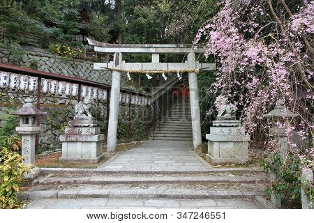 Kyoto, Japan - April 16, 2012: Hachi Shrine With Cherry Blossoms In Kyoto, Japan. The Shrine Is Loca