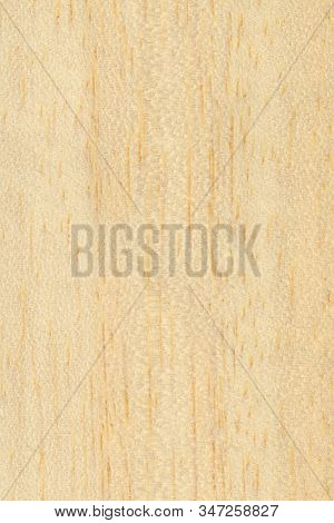Light Brown Ayous Samba Wood Texture Background