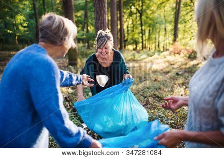 Senior Women Friends Picking Up Litter Outdoors In Forest, A Plogging Concept.