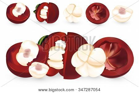 Fresh Mangosteen Isolated On White Background. Mangosteen, Whole And A Half Of Fruit. 3d Realistic M