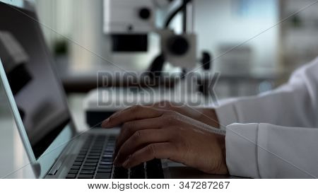 Female Scientist Hands Typing On Laptop, Working On Experimental Research In Lab
