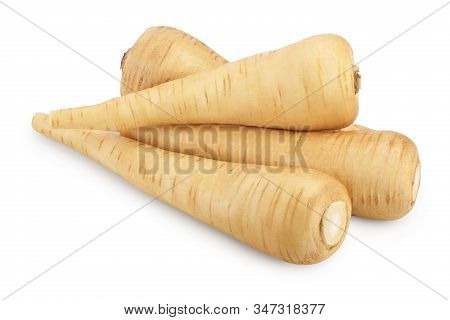 Parsnip Root Isolated On White Background With Clipping Path
