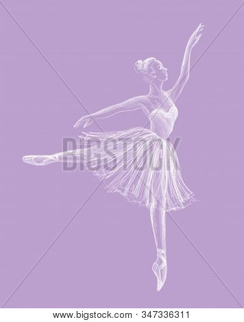 Ballerina Drawing Hand Image & Photo (Free Trial) | Bigstock