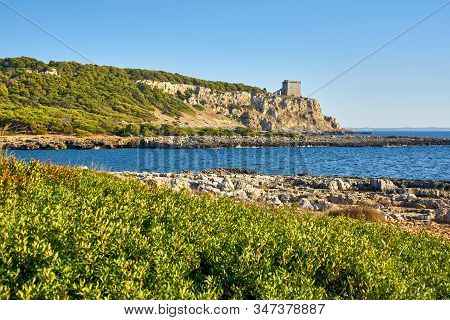 Torre Dell'alto In The Regional Park Of Porto Selvaggio In Apulia - Italy