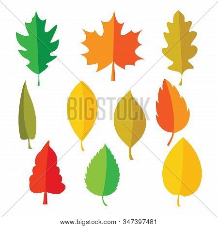 Colorful Leaf Shape Illustration Can Use For Any Design Project