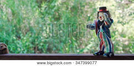 Close Oup Of Funny Clown Toy In Nature Background