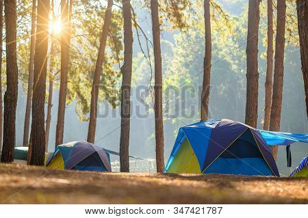 Dancing Camping In Pang Ung Forest, Mae Hong Son Province, Thailand