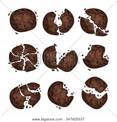 Chocolate Cookie Crumbs And Chips Isolated On White Background Vector Set