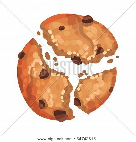 Oatmeal Cookie With Chocolate Crumbs Isolated On White Background Vector Item