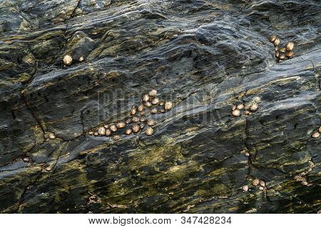 Black Cracked Rock On The Sea Shore