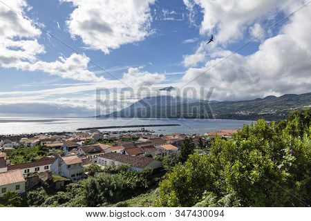 A Bird Flies Above Lajes Do Pico On Pico Island In The Azores, Portugal.