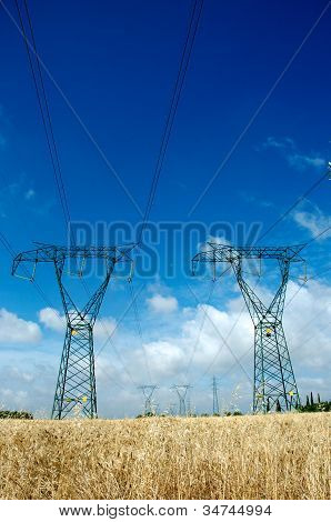 Electricity And Nature