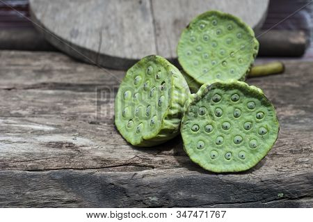 Lotus Seed Or Lotus Nut. The Traditional Chinese And Indian Medicine. Good For Healty And Can Eat Bo