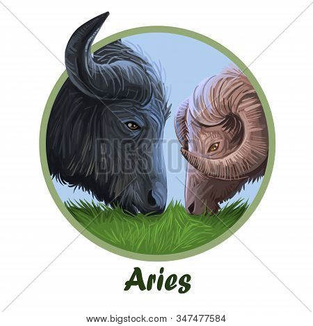 Aries Metal Ox Year Horoscope Zodiac Sign Isolated. Digital Art Illustration Of Chinese New Year Sym