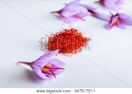 Dried Saffron On A White Background With Fresh Saffron Flowers