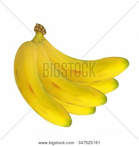 This Is Banch Of Banana, This Is Design In Vector