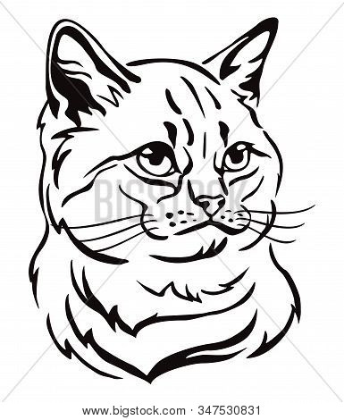 Decorative Portrait Of British Cat, Contour Vector Illustration In Black Color Isolated On White Bac