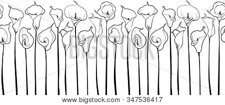 Elegant Seamless Line Pattern With Calla Flowers, Design Elements For Invitations, Cards, Print, Gif