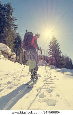 Female Ski Tourer Ascending A Forest Slope.