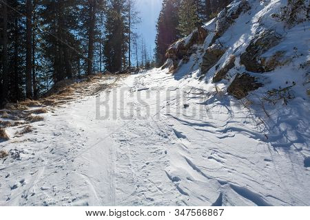 Snow Covered Forest Road Leading Uphill Into Mountains.
