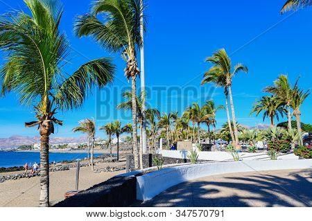 Puerto Del Carmen Beach In Lanzarote, Canary Islands, Spain. Blue Sea, Palm Trees, Selective Focus
