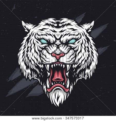 Ferocious Angry Cruel Tiger Head In Vintage Style On Dark Background Isolated Vector Illustration