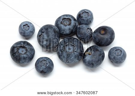 Fresh Blueberries Isolated On White Background. Cyanococcus. Cuisine Backdrop