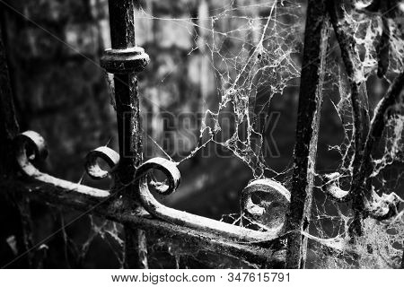 Urbex, Old Abandoned Church In Charleroi, Belgium