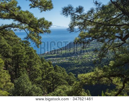 View On Beautiful Lush Lanscape From Hiking Trail Barranco De La Madera With Pine Tree Forest, Villa