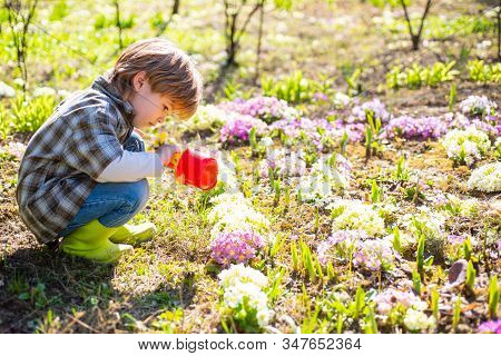 Gardening Activity With Little Kid. I Like Spending Time On Farm. Little Toddler Boy Gardening And H