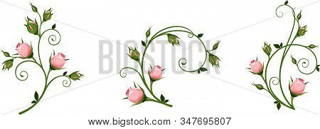 Set Of Vector Decorative Elements With Pink Rosebuds Isolated On A White Background.
