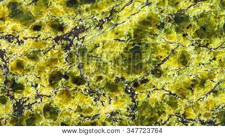 Panoramic Background From Polished Natural Serpentinite (lizardite) Rock Close Up