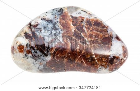 Closeup Of Sample Of Natural Mineral From Geological Collection - Eudialyte In Polished Rock Isolate