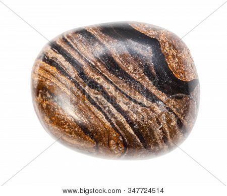 Closeup Of Sample Of Natural Mineral From Geological Collection - Polished Stromatolite Rock Isolate