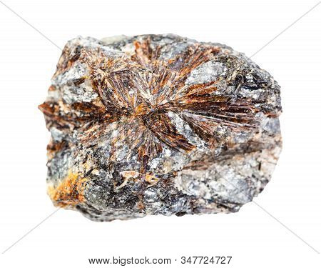 Closeup Of Sample Of Natural Mineral From Geological Collection - Lamprophyllite Crystals On Unpolis
