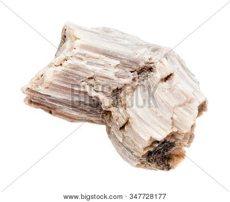 Closeup Of Sample Of Natural Mineral From Geological Collection - Raw Baryte Rock Isolated On White 