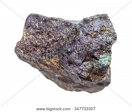 Closeup Of Sample Of Natural Mineral From Geological Collection - Piece Of Raw Bornite With Chalcopy