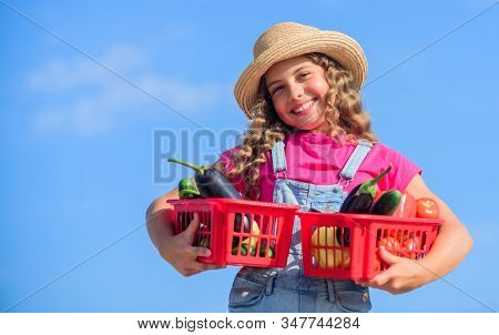 Friendly Look. Harvest Vitamin. Spring Market Garden. Little Girl Vegetable In Basket. Only Natural.