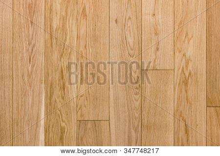 Texture Of Oak Parquet, Top View. Light Oak Planks Background.