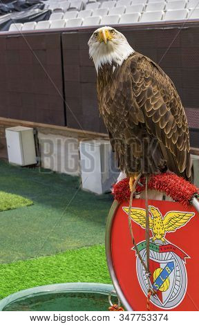 Lisboa, Portugal - April 2018: Eagle - Fc Benfica Club Symbol At Estadio Da Luz