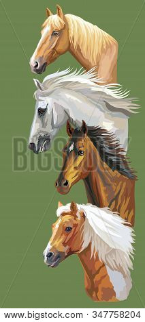 Vertical Postcard With Running Horses. Colorful Vector Realistic Portraits Of Horses In Profile. Gro