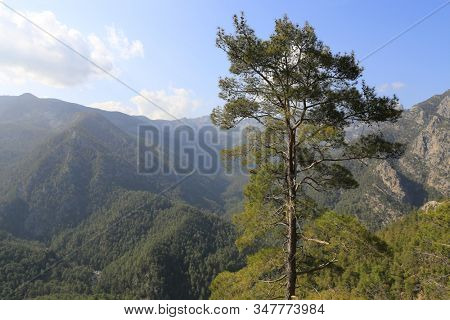 Nice mountain landscape in Turkey, Famous Likya Yolu tourist trail in mountains. View on valley in mountains. Pine tree over valley.