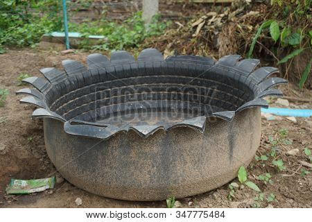 Close Up Image Of The Old Car Tires Recycling Potted Plant In Garden.